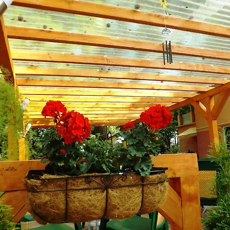 Casa de hóspedes Randevu Balatonföldvár