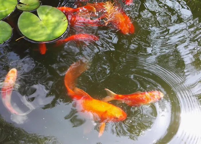 Randevu Affittacamere 3*